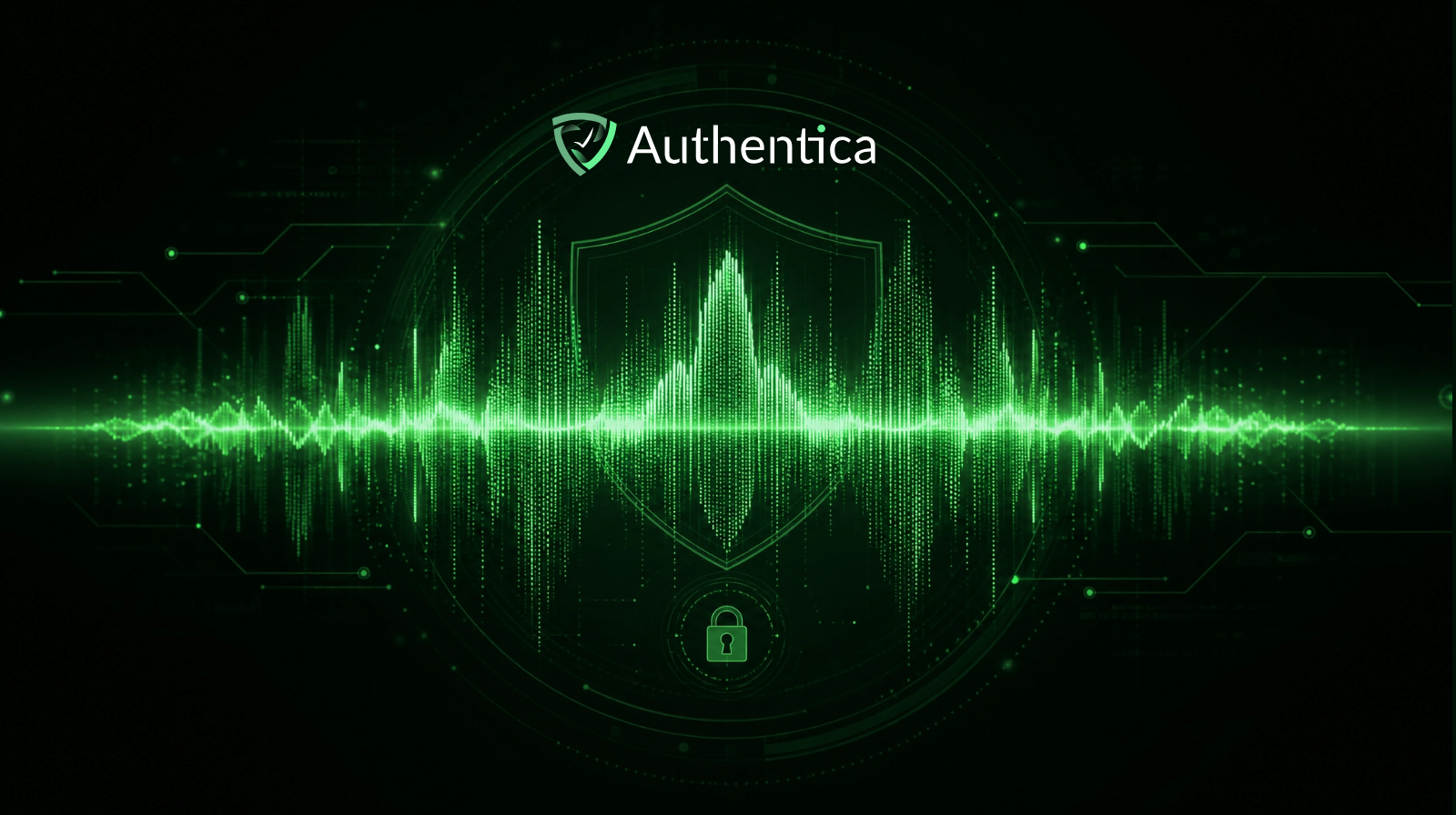 Digital sound wave visualization for voice recognition authentication